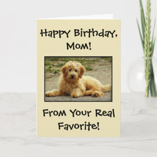 Cute Happy Birthday Card From The Dog Photo 