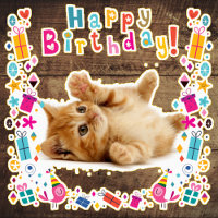 happy birthday cute kitten images