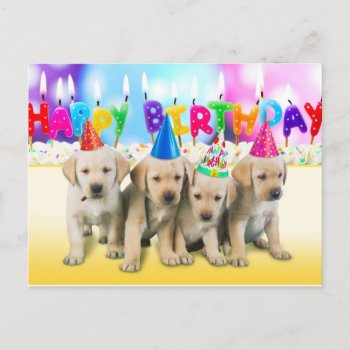 Cute Happy Birthday Puppies Postcard by patrickhoenderkamp at Zazzle