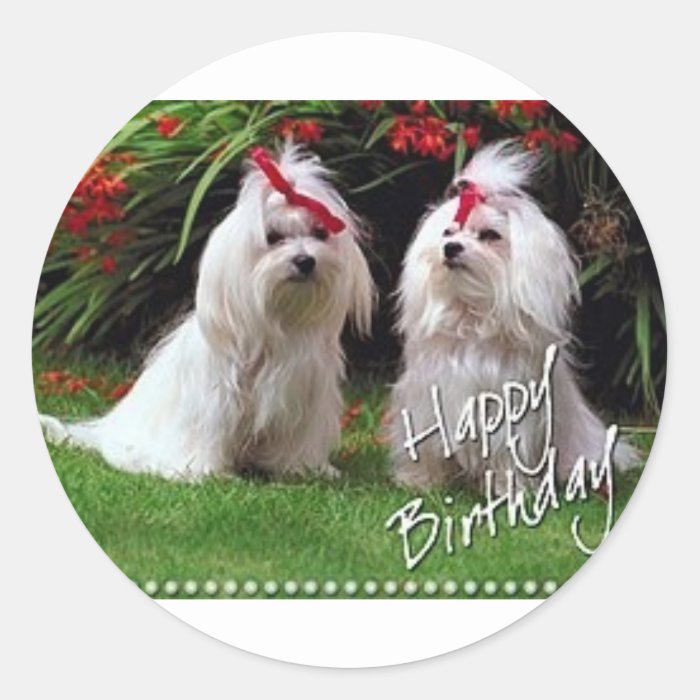 Cute Happy Birthday Round Stickers