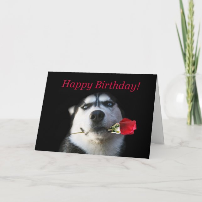 Cute Happy Birthday to My Favorite Brother in Law Card (Front)