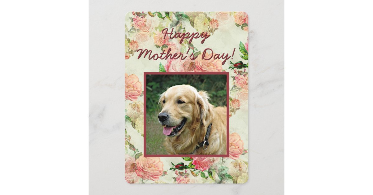 Cute Happy Mothers or Fathers Day Dog Photo Card | Zazzle