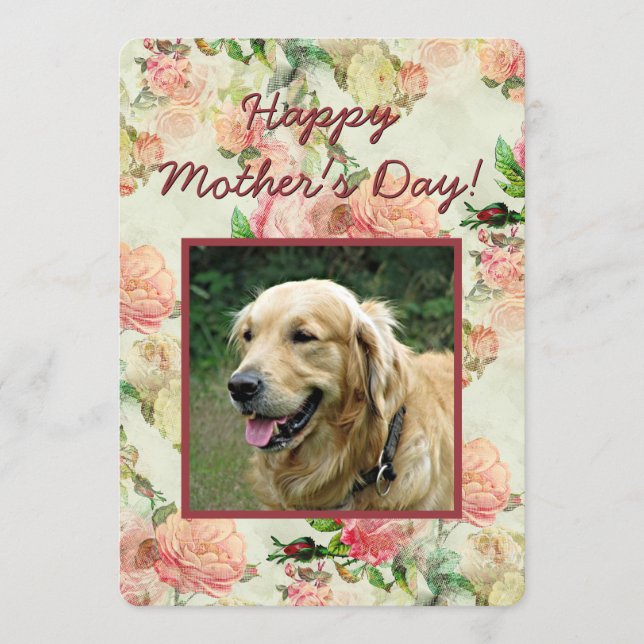  Cute Happy Mothers or Fathers Day Dog Photo Card (Front)