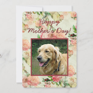 Cute Happy Mothers or Fathers Day with Dog Photo Holiday Card