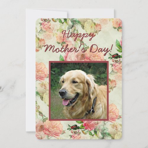  Cute Happy Mothers or Fathers Day with Dog Photo Holiday Card