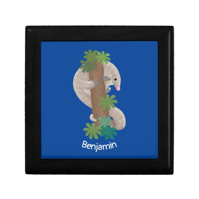 Cute happy pangolin anteater illustration gift box (Front)