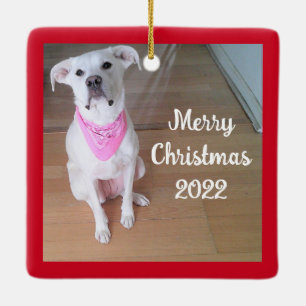 Cute Happy Puppy Dog Wearing Pink Scarf Square Red Ceramic Ornament