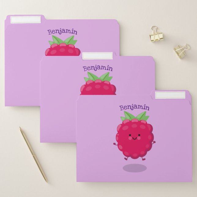 Cute happy raspberry cartoon illustration file folder (Set)