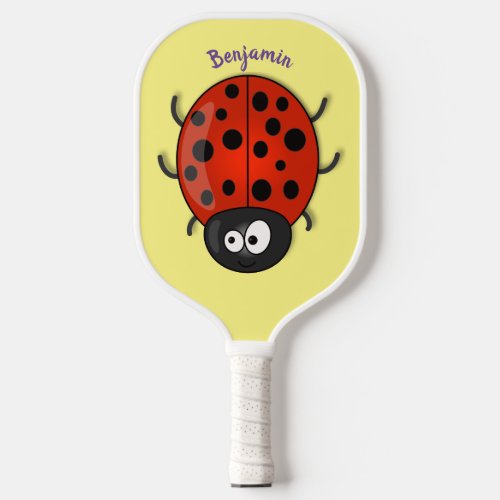 pickleball paddle
