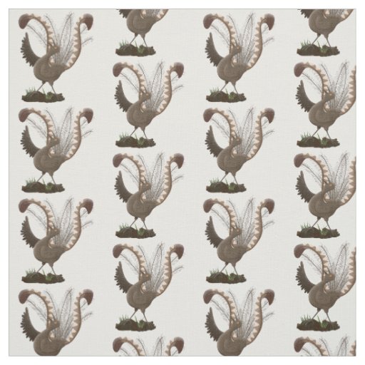 Cute happy superb lyrebird cartoon illustration  fabric