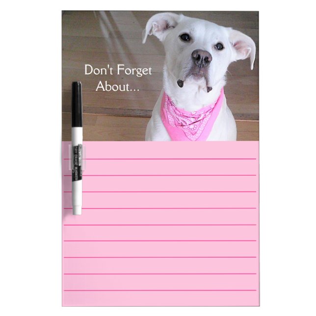 Cute Happy White Puppy Dog Wearing Pink Scarf Dry Erase Board (Front)