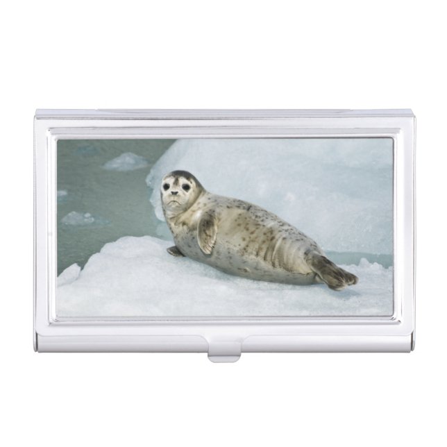 Cute Harbor Seal on Snow Business Card Case (Front)