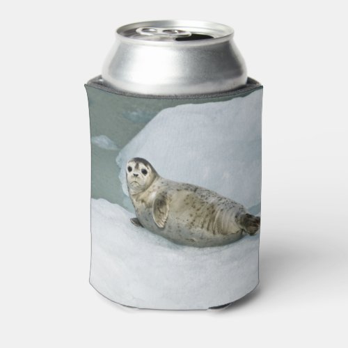 Cute Harbor Seal on Snow Can Cooler