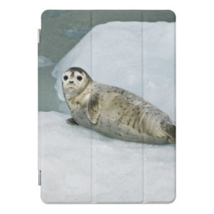 Cute Harbor Seal on Snow iPad Pro Cover