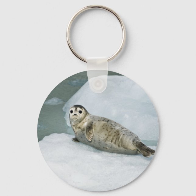 Cute Harbor Seal on Snow Keychain (Front)