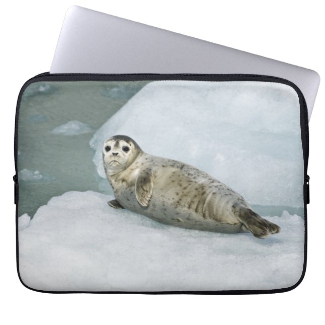 Cute Harbor Seal on Snow Laptop Sleeve (Front)