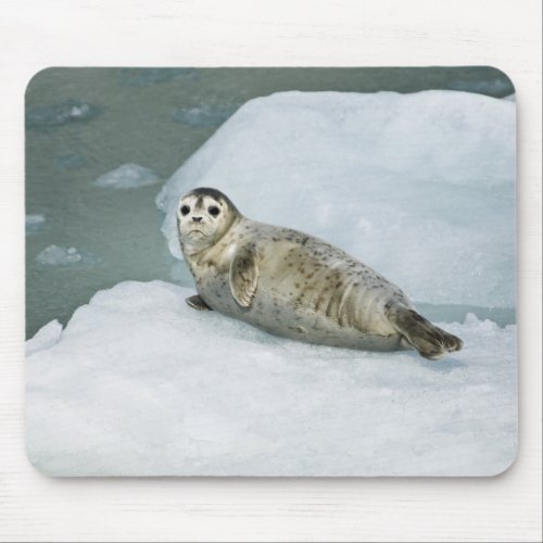 Cute Harbor Seal on Snow Mouse Pad