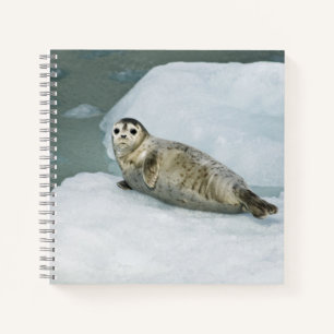 Cute Harbor Seal on Snow Notebook