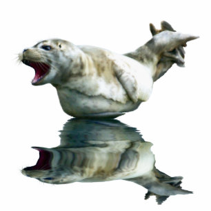 CUTE HARBOR SEAL (sculpted) Wildlife Art Gift Item Statuette