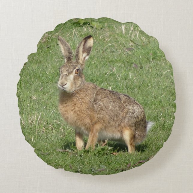 Cute Hare Close up Round Pillow (Front)