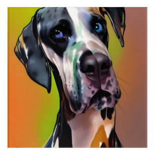  Cute Harlequin Great Dane Acrylic Print