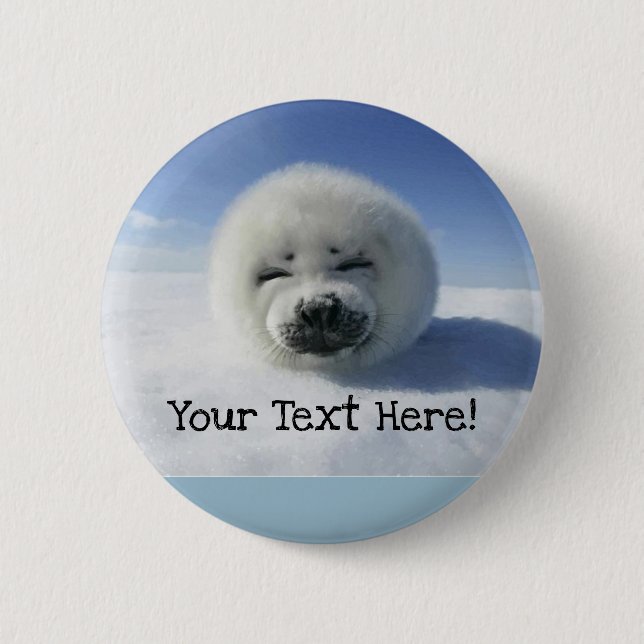 Cute Harp Seal Pinback Button (Front)