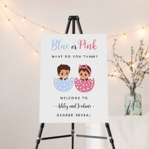 Cute Hatched Baby Pink and Blue Egg Welcome Sign