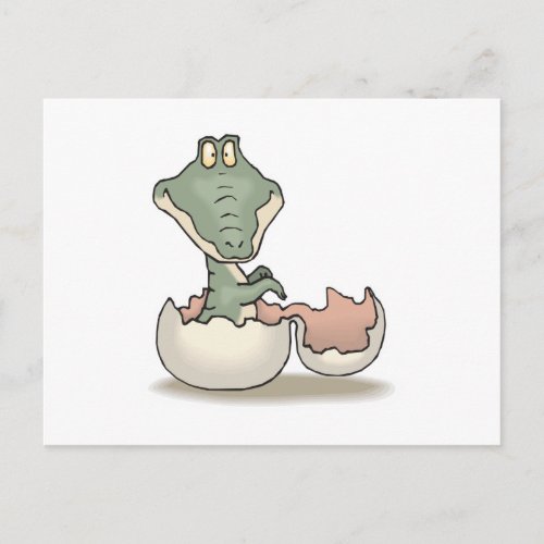 cute hatching baby alligator postcard