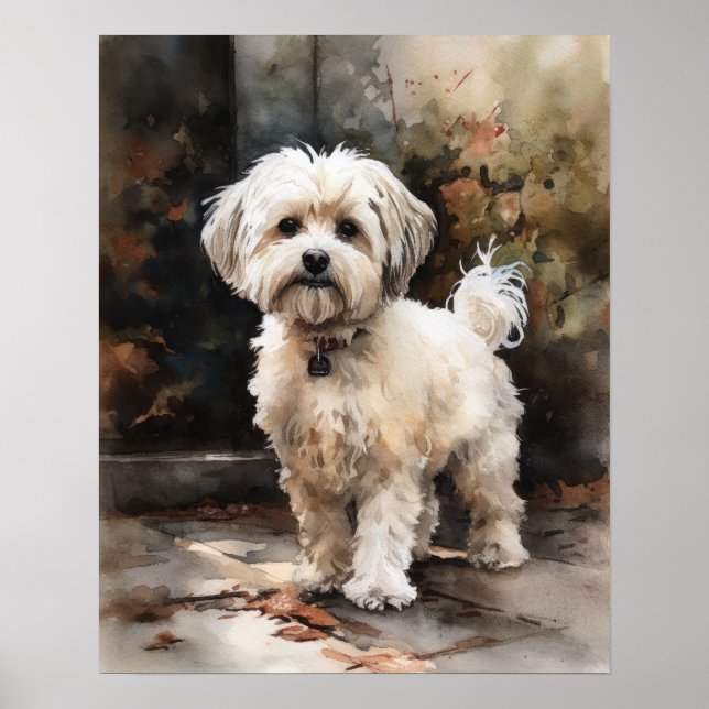 Cute Havanese Dog Art Print Poster (Front)
