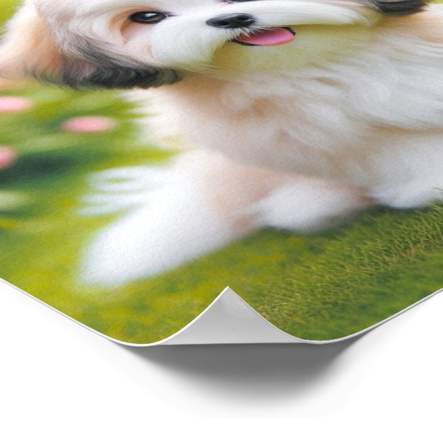 cute Havanese dog Poster Zazzle
