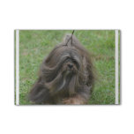 Cute Havanese Post-it Notes