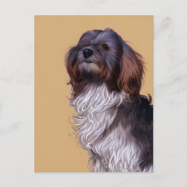Cute Havanese Puppy Dog Postcard (Front)