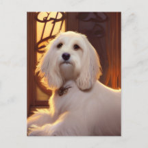Cute Havanese Puppy Dog Postcard