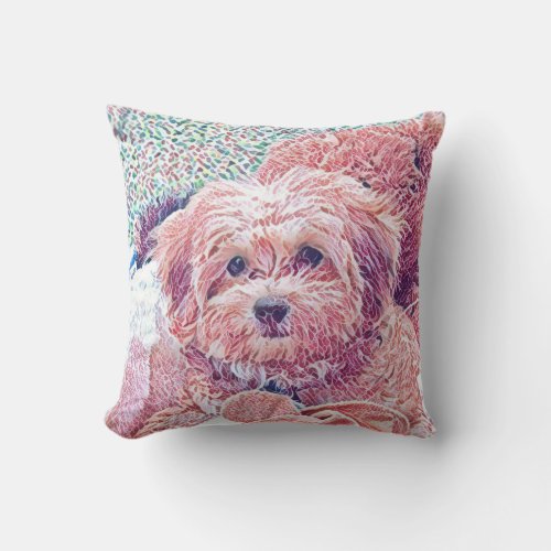 Cute havapookie puppy pillow