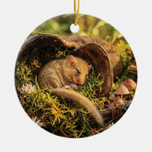Cute Hazel Dormouse Sleeping Inside a Leather Boot Ceramic Ornament
