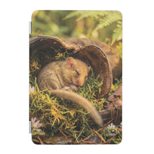 Cute Hazel Dormouse Sleeping Inside a Leather Boot iPad Mini Cover
