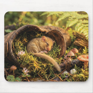 Cute Hazel Dormouse Sleeping Inside a Leather Boot Mouse Pad