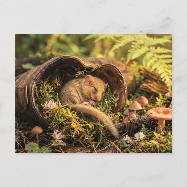 Cute Hazel Dormouse Sleeping Inside a Leather Boot Postcard (Front)