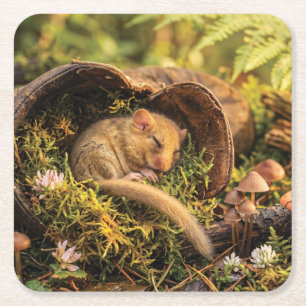 Cute Hazel Dormouse Sleeping Inside a Leather Boot Square Paper Coaster