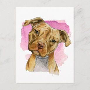 Cute Head Tilt Pit Bull Dog Watercolor Painting Postcard