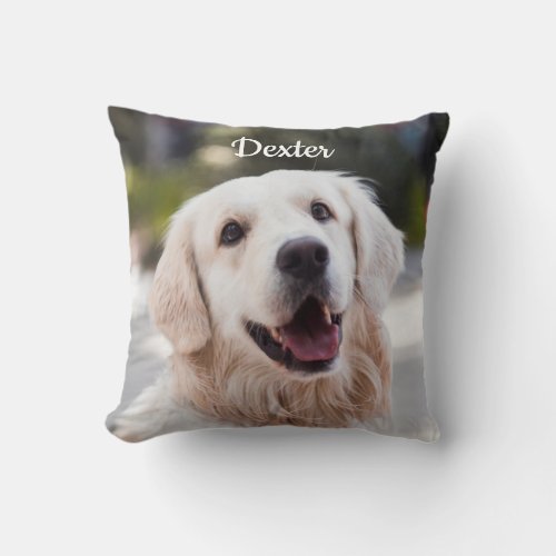 Cute Heart Pet Throw Pillow