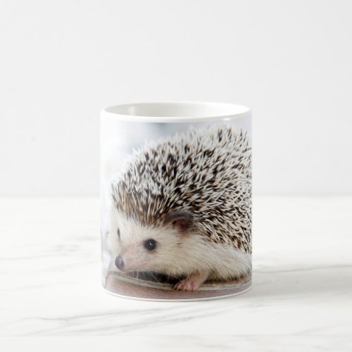 Cute Hedgehog Baby Coffee Mug