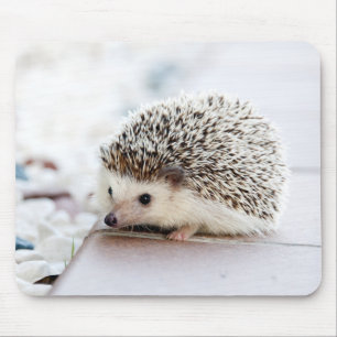 Cute Hedgehog Baby Mouse Pad
