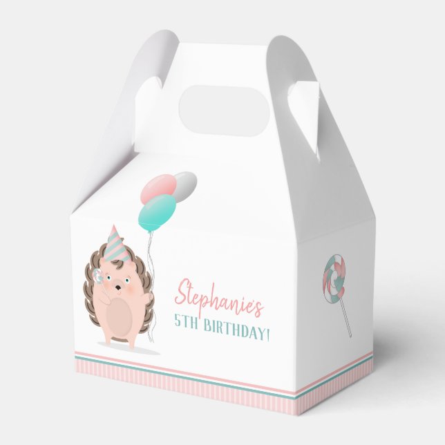 Cute Hedgehog Birthday Favor Boxes (Front Side)