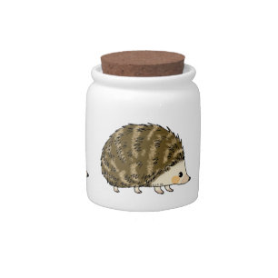 Cute hedgehog candy jar