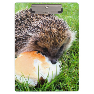CUTE HEDGEHOG CLIPBOARD