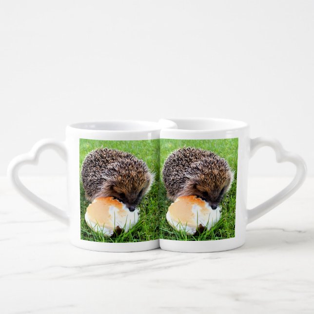 CUTE HEDGEHOG COFFEE MUG SET (Front Nesting)