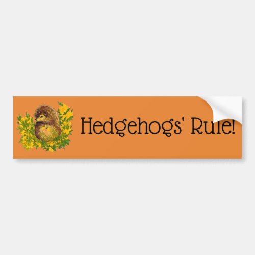 Cute Hedgehog Color Printed Fancy Designed Bumper Sticker