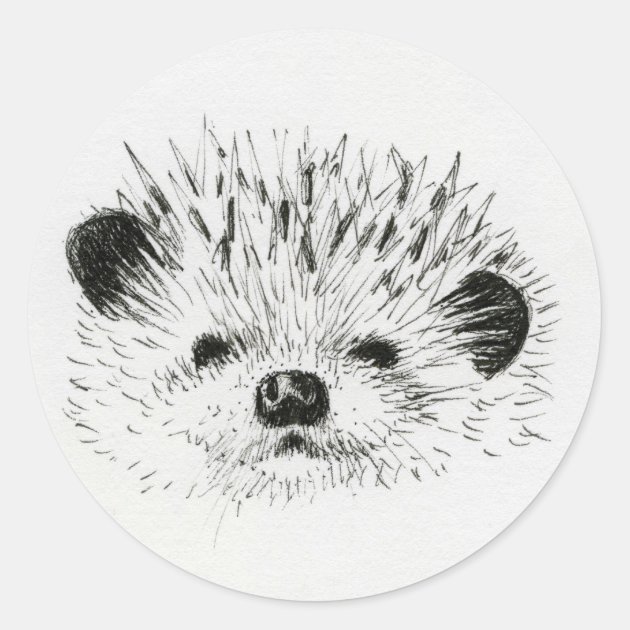 Share 139+ sketches of hedgehogs latest