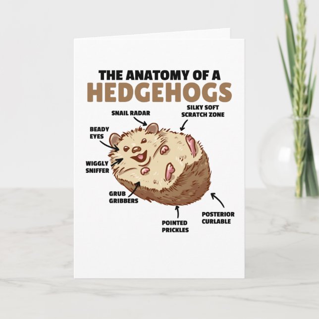 Cute Hedgehog Explanation Anatomy Of A Hedgehogs Card (Front)